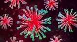 HMPV Virus Case Increased in China grg 