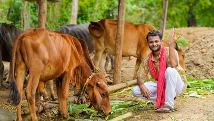 గ్రామీణ భారతంలో పేదరికం తగ్గుముఖం: SBI నివేదిక