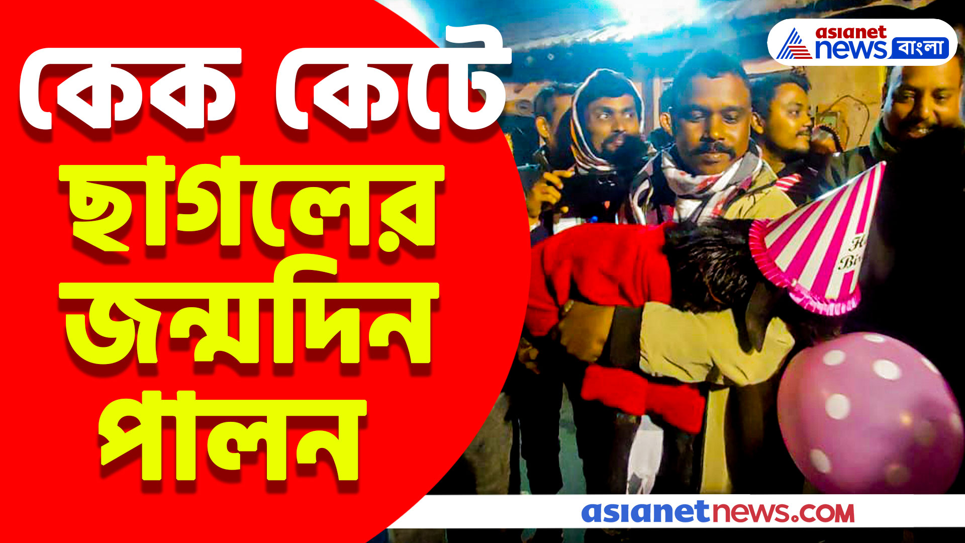 কেক কেটে ছাগলের জন্মদিন পালন, আমন্ত্রিত লোকসংখ্যা ১৫০, কোথায় ঘটল এই ঘটনা?