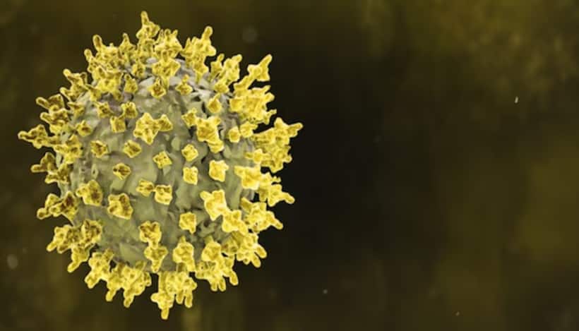 Is HMPV a new pathogen? Why infants and elderly are vulnerable, symptoms and treatment explained