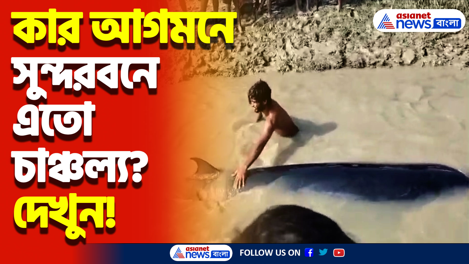 সুন্দরবনের ঘোড়ামারা দ্বীপে ঘটলো তিমির অবাক করা আগমন! চাঞ্চল্য গোটা এলাকায়