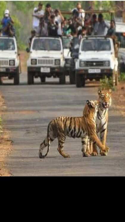 ఇదే IAS-IPS ల గ్రామం