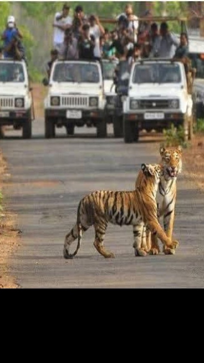 ఇదే IAS-IPS ల గ్రామం