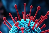 hmpv-virus-prevention-and-symptoms