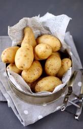 Side effects of Overeating Potatoes mma