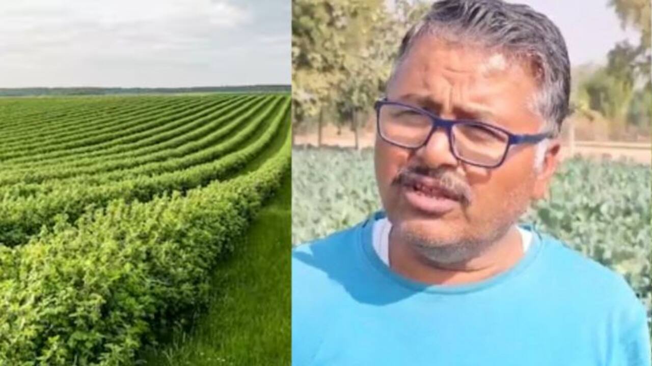Success story of  farmer
