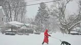 Winter storm alert in America UK and India people under threat