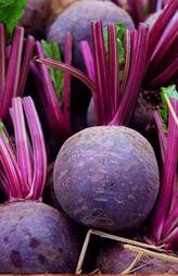 Benefits of Eating Raw Beetroot Daily rav