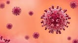 What are the symptoms of HMPV virus? Doctor explains tvk