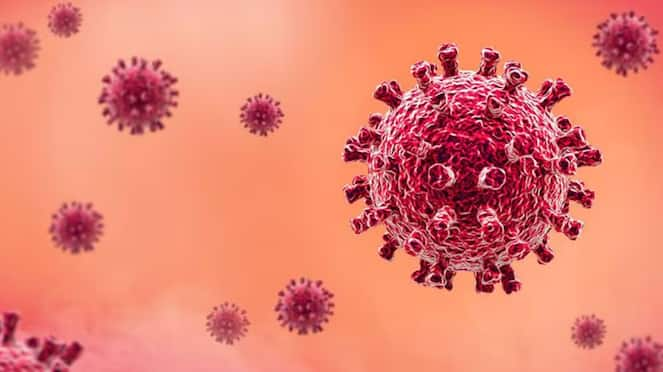 What are the symptoms of HMPV virus? Doctor explains tvk