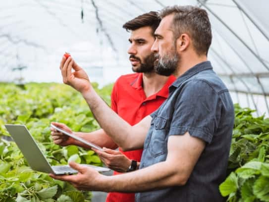 Agricultural Engineering Career How to become agricultural engineer in india gow