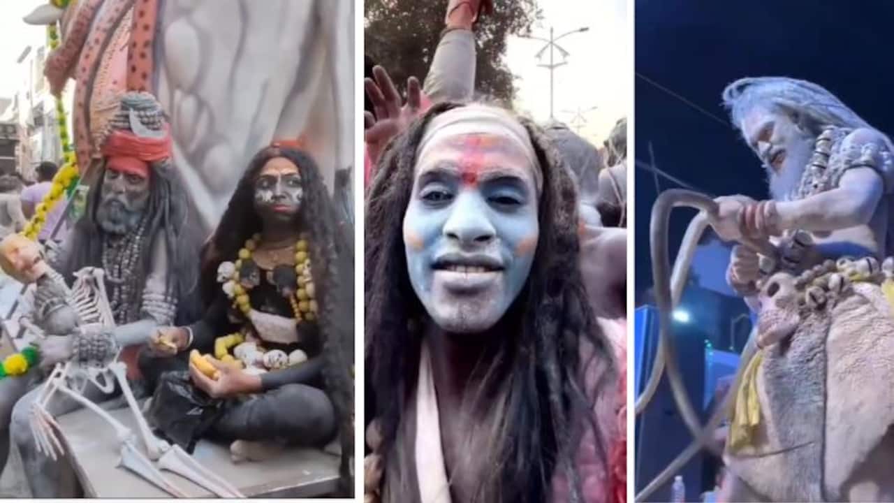 Prayagraj Mahakumbh 2025