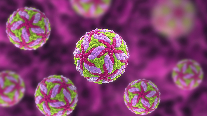 Human Metapneumovirus HMPV Symptoms & Treatment