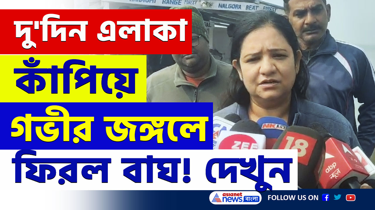 Kultali Tiger Update : টানা দু'দিন এলাকা কাঁপিয়ে জঙ্গলে ফিরে গেল বাঘ! দেখুন সেই দৃশ্য