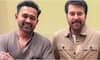 late night surprise by Asif Ali Those who ask about mammootty in rekhachithram post viral