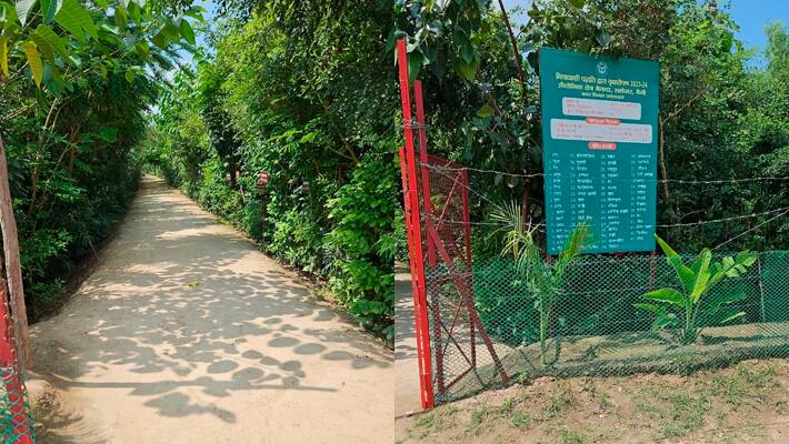 Yogi-Adityanath-government-developed-forests-in-Prayagraj
