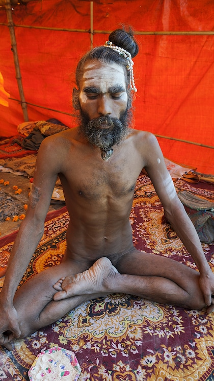 What Aghoris don't consume