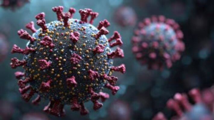 hmpv virus