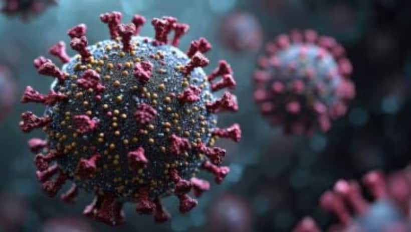 What is Clade 1b? New mutated Mpox virus detected in China amid HMPV outbreak