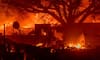 Hollywood Celebrities Homes Burnt down in Wildfire in America 