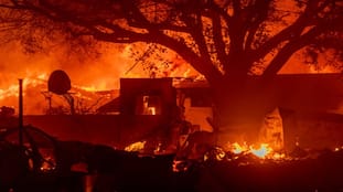 Hollywood Celebrities Homes Burnt down in Wildfire in America 