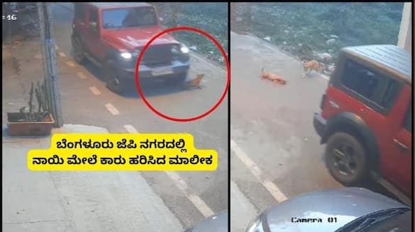 Bengaluru Owner rams red Thar car into sleeping dog on JP Nagar Road sat