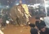 Kerala Elephant Goes Aggressive at Malappuram Event