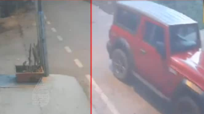 man rams his thar car into sleeping dog on jp nagar road at bengaluru