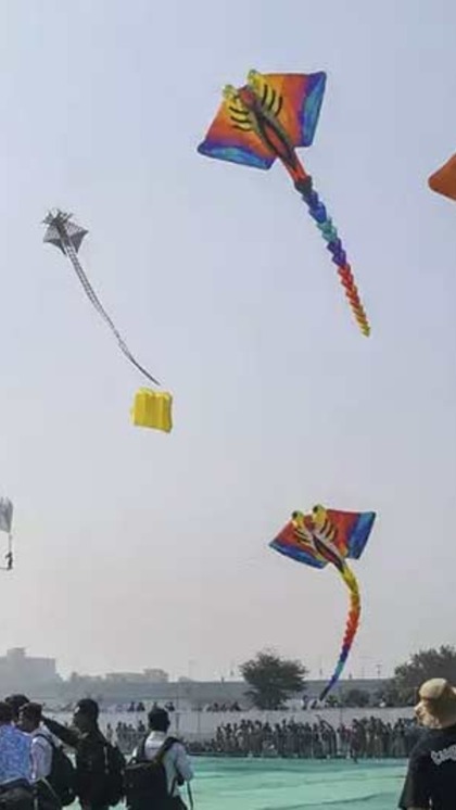 Names of kites in North India