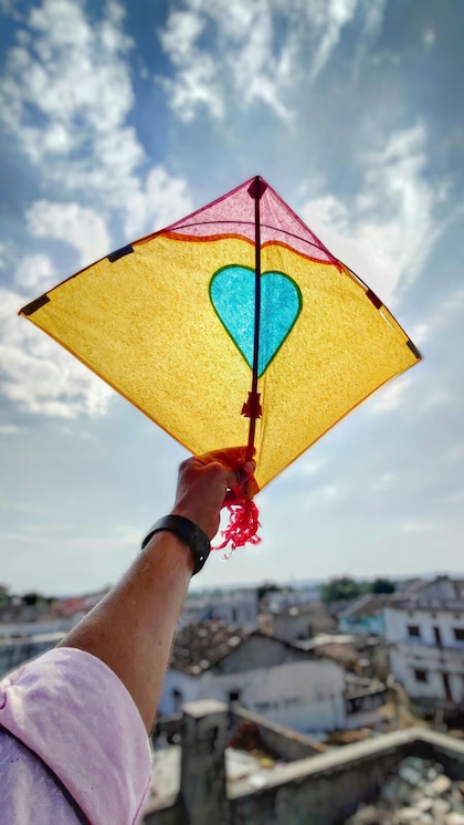 Beautiful kites flying in the sky