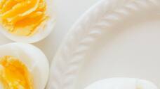 Paneer to Butter: 4 protein sources other than egg MEG