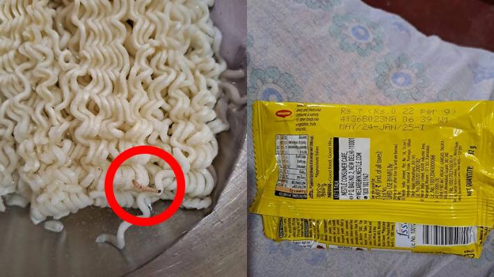 Himachal news nestle fined 50 thousand insect found in Maggie 
