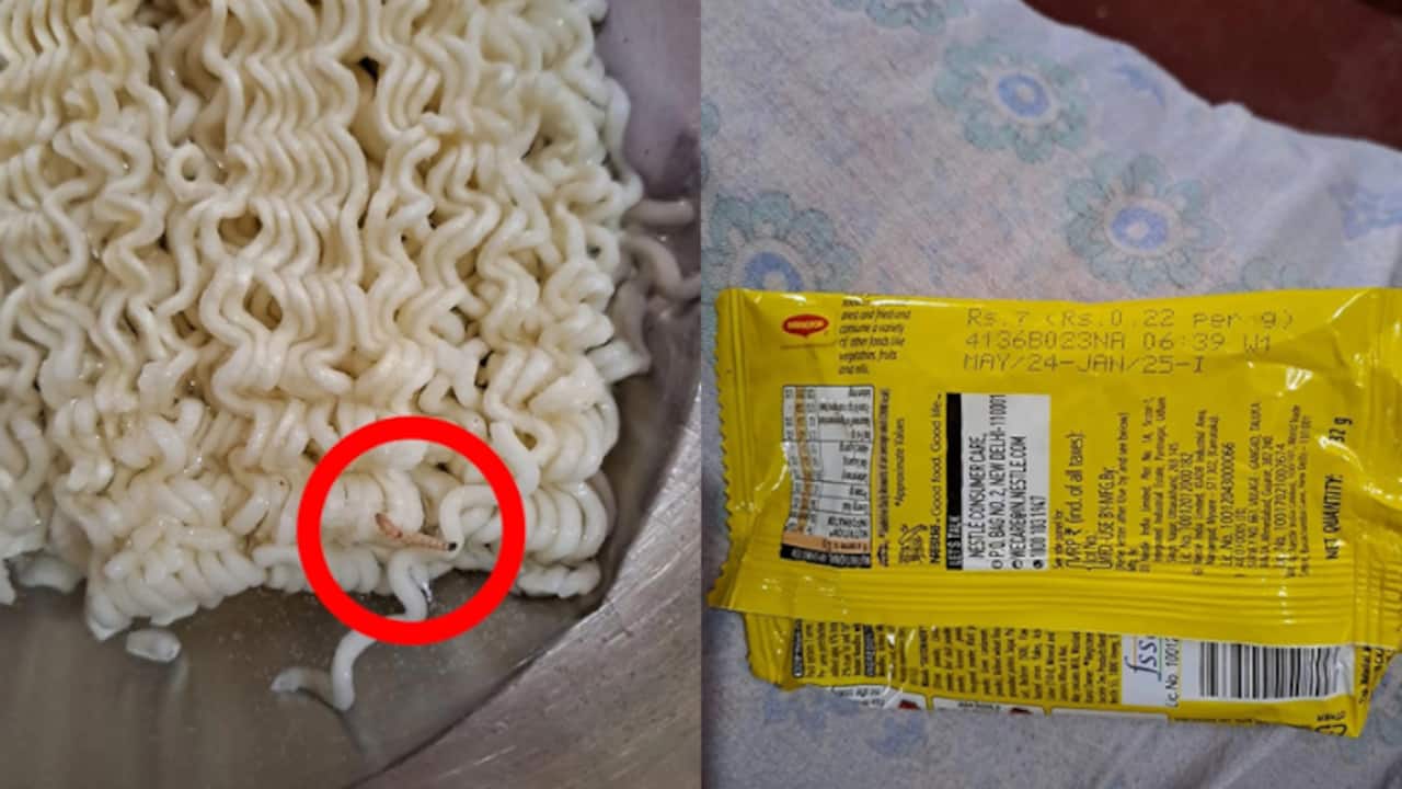 Himachal news nestle fined 50 thousand insect found in Maggie 