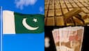 Pakistan's debt soars to PRs 76,000 billion; FM promises 'turnaround story' next year