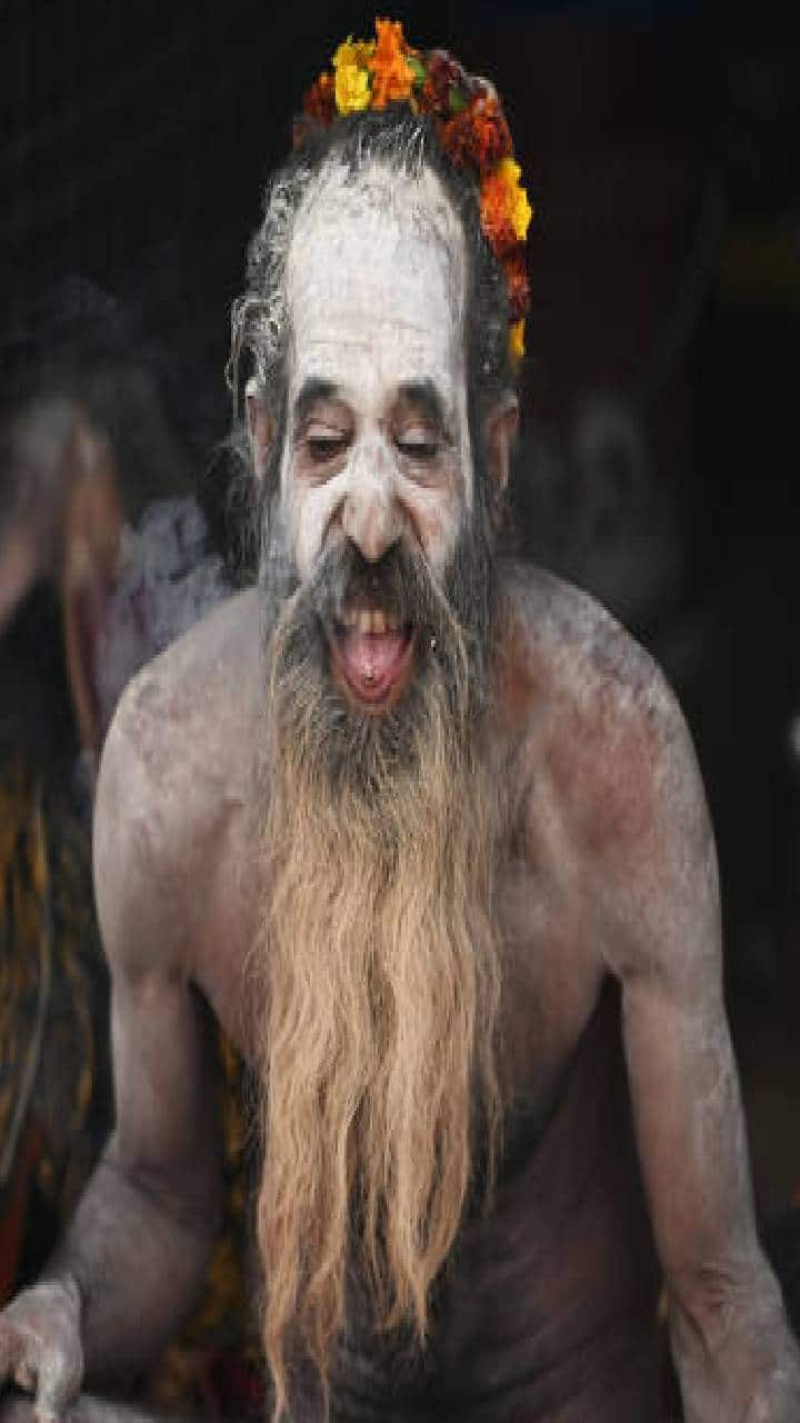 Mystery of Naga Sadhus How do they survive in the extreme cold?