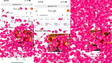 Google पर सर्च करें Mahakumbh, होने लगेगी फूलों की बारिश! आएगा मजा -  prayagraj mahakumbh 2025 google floral animation pink rose effect trending  search - Asianet News Hindi