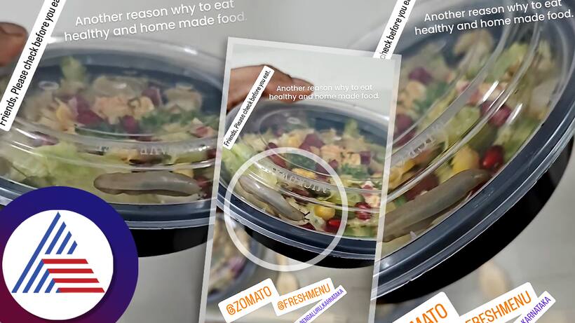 Bengaluru man finds live 'Snail' in Salad ordered via Zomato, FreshMenu issues apology (WATCH)