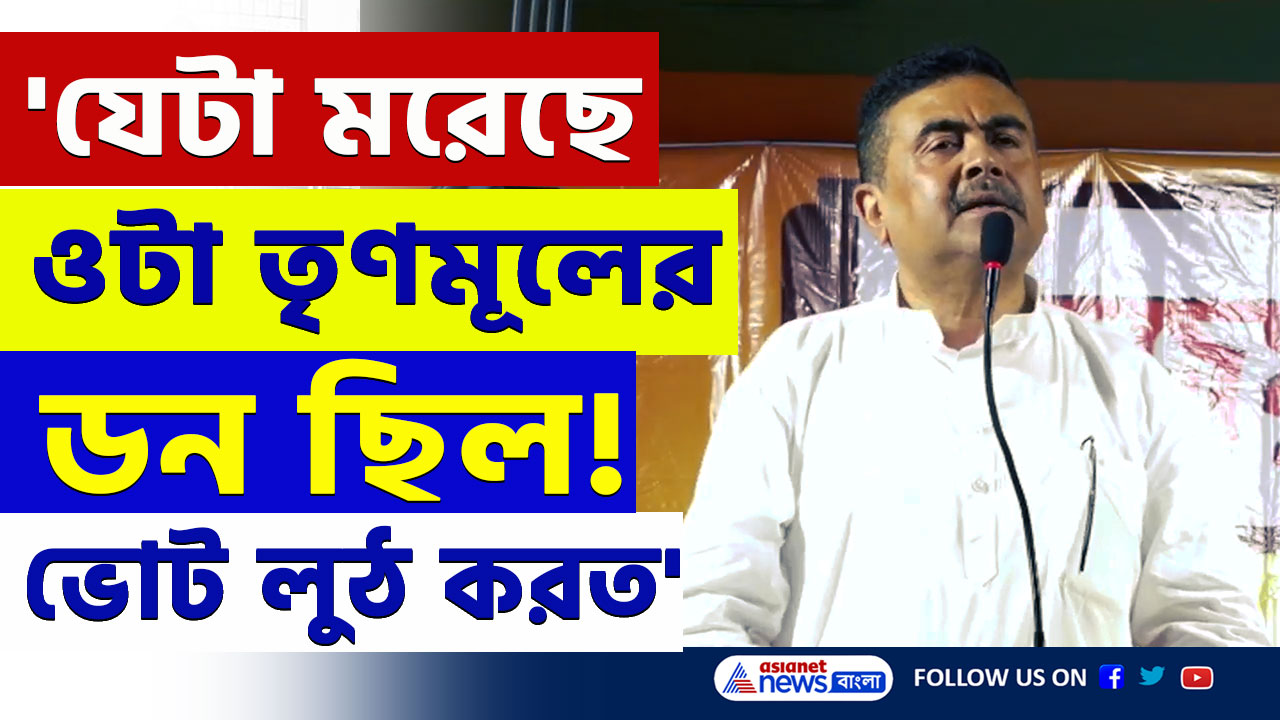 Suvendu Adhikari : 'যেটা মরেছে ওটা তৃণমূলের এলাকার ডন ছিল' বিস্ফোরক শুভেন্দু অধিকারী
