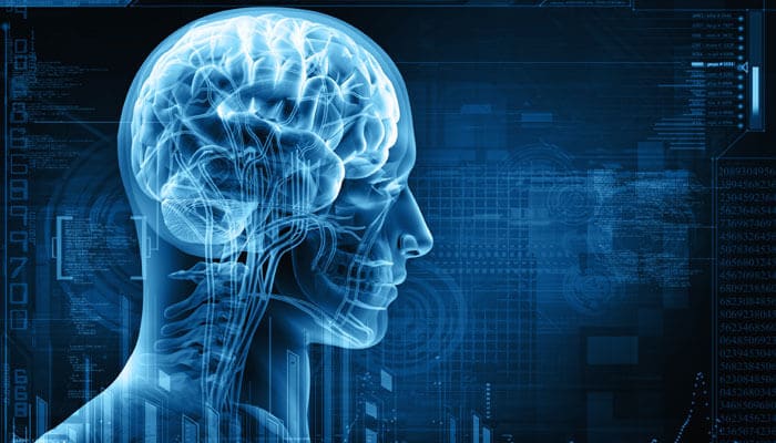 Brain exercise to improve memory power pav
