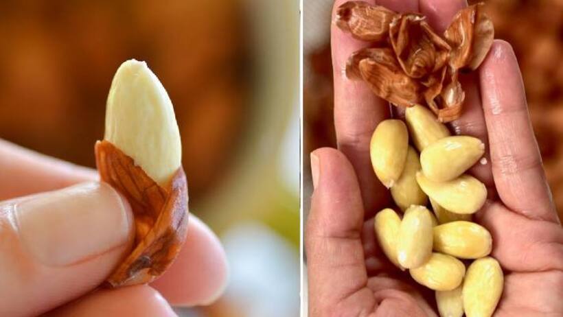 almond peels know how to use