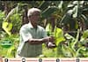 successful vegetable cultivation kissan krishideepam farmer venugopalan  