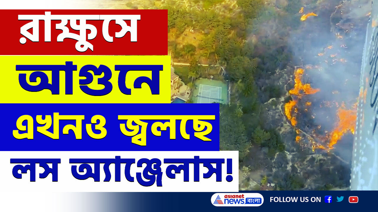 LA Wildfires : রাক্ষুসে আগুনে এখনও জ্বলছে লস অ্যাঞ্জেলস, প্রায় ৪০ হাজার জমি নষ্ট, বাড়ছে মৃত্যু মিছিল