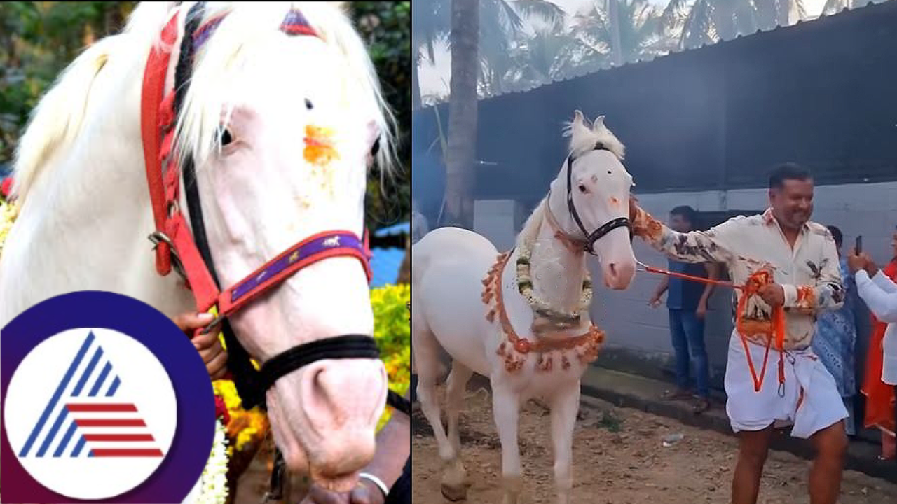 ದರ್ಶನ್ಗೆ ಬದುಕಿನ ಪಾಠ ಕಲಿಸಿತಾ ಜೈಲುವಾಸ? ಬದಲಾದ್ರಾ ದರ್ಶನ್;ಒಂದಾದ ಅಣ್ಣ-ತಮ್ಮ,ತಾಯಿ-ಮಗ