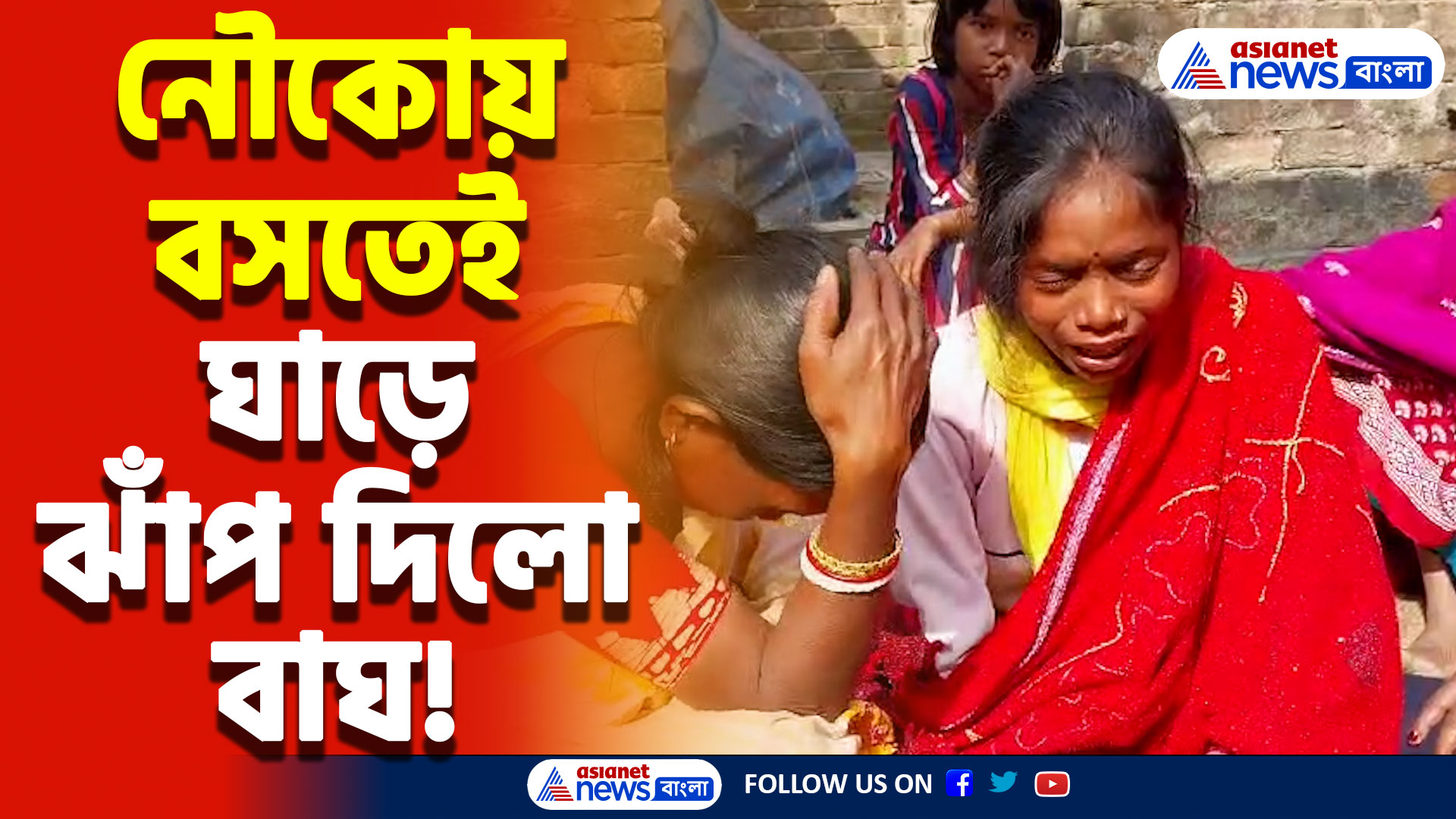 সুন্দরবনে ফের বাঘের ভয়াল থাবা! উদ্ধার করেও গেল না বাঁচানো, গোটা গ্রামে শোকের ছায়া