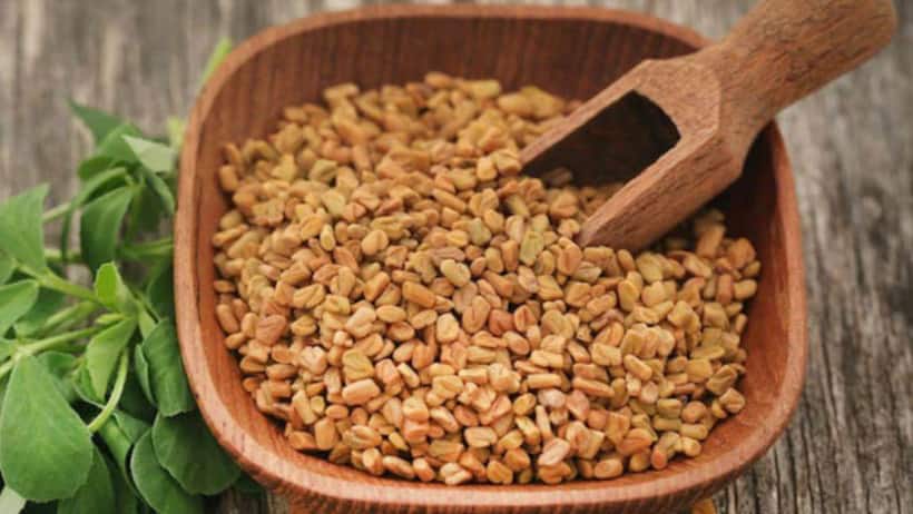 Weight Loss: మెంతులు తిని బరువు తగ్గొచ్చా? ఎలాగబ్బా?
