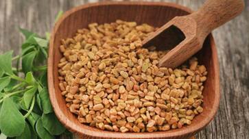 fenugreek seeds benefits for weight loss and overall health in telugu ram fenugreek seeds benefits for weight loss and overall health in telugu ram