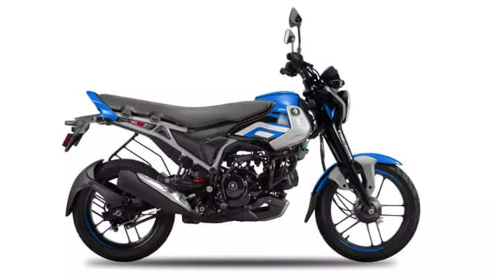 Bajaj Freedom 125 CNG Affordable High Mileage Bike Ownership kvn