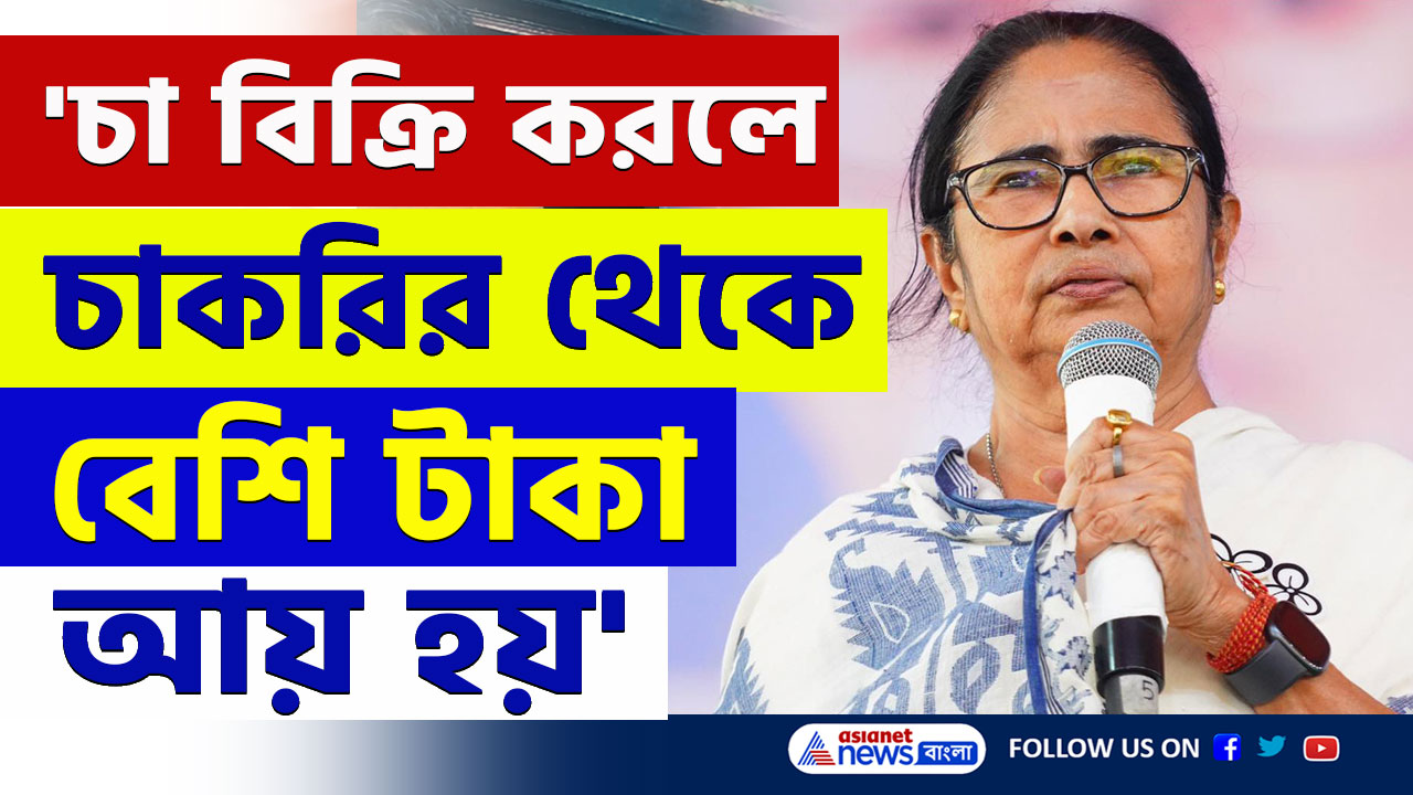 'চায়ের দোকানে চা বিক্রি করলে চাকরির থেকে বেশি টাকা আয় হয়' মন্তব্য মমতার