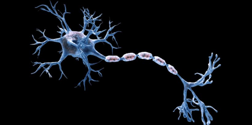 Guillain-Barre Syndrome cases rises to 67 in Pune; Know causes, symptoms of this rare nerve disorder