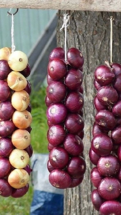 ఉల్లిపాయలను పేపర్‌లో ఉంచండి